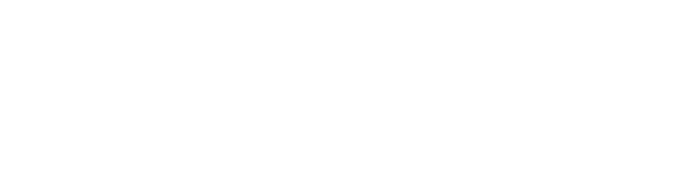 Nexauva Logo